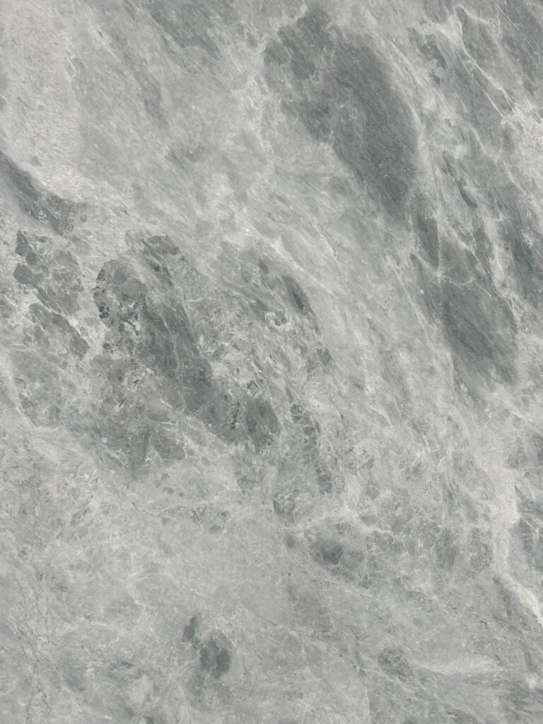 Grey Trambisera