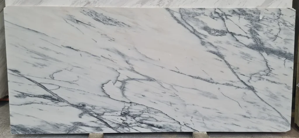 Venatino Delicato (WEV)